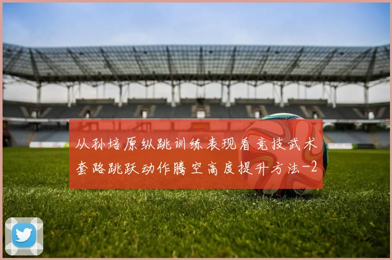 从孙培原纵跳训练表现看竞技武术套路跳跃动作腾空高度提升方法