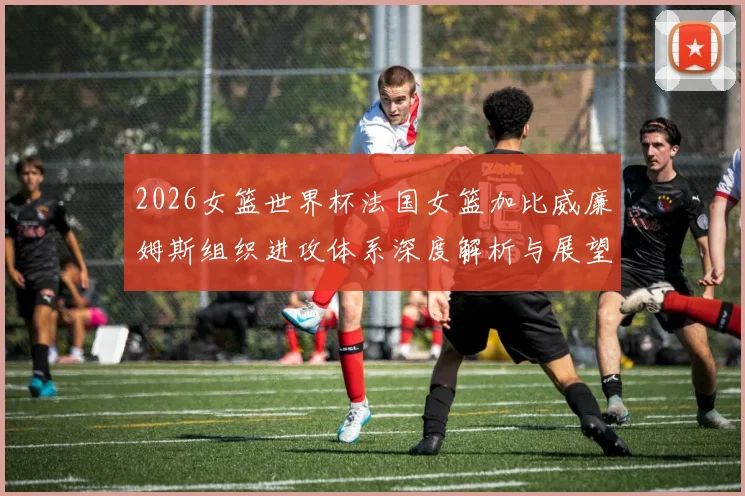 2026女篮世界杯法国女篮加比威廉姆斯组织进攻体系深度解析与展望