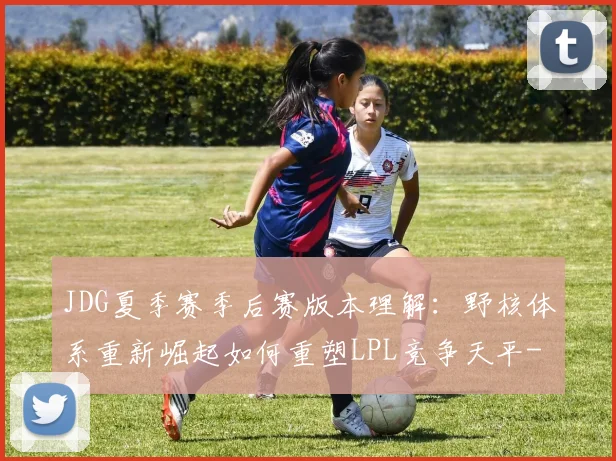 JDG夏季赛季后赛版本理解:野核体系重新崛起如何重塑LPL竞争天平