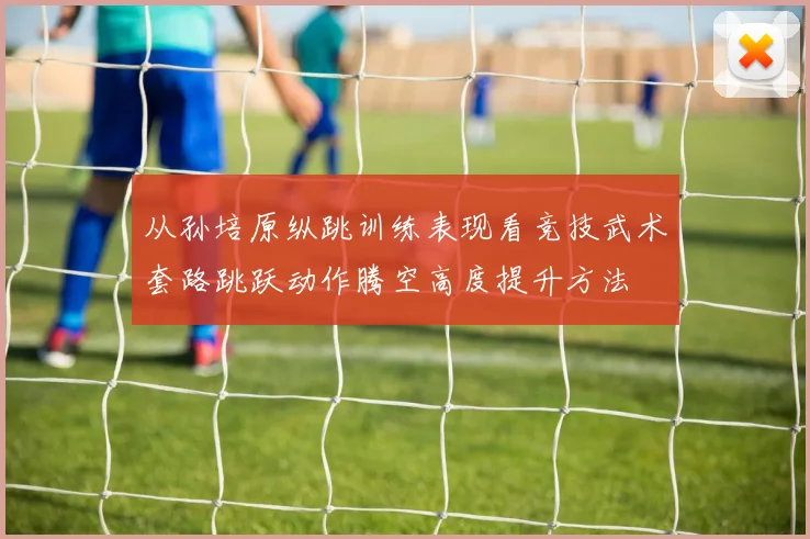 从孙培原纵跳训练表现看竞技武术套路跳跃动作腾空高度提升方法