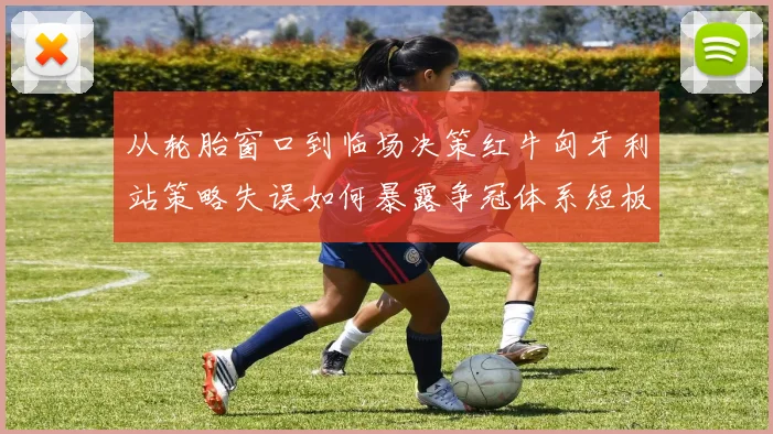从轮胎窗口到临场决策红牛匈牙利站策略失误如何暴露争冠体系短板
