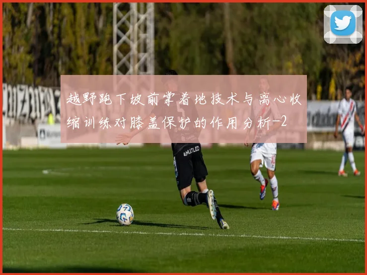越野跑下坡前掌着地技术与离心收缩训练对膝盖保护的作用分析