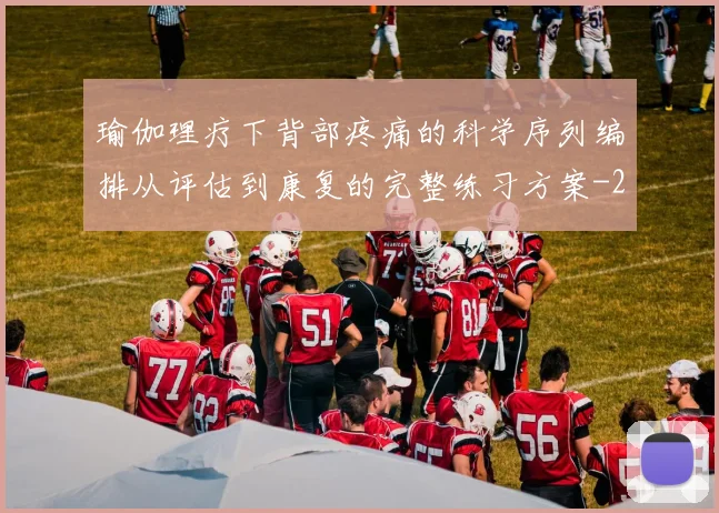 瑜伽理疗下背部疼痛的科学序列编排从评估到康复的完整练习方案