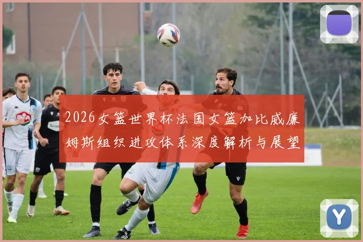 2026女篮世界杯法国女篮加比威廉姆斯组织进攻体系深度解析与展望