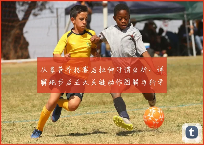 从基普乔格赛后拉伸习惯分析，详解跑步后五大关键动作图解与科学避免损伤